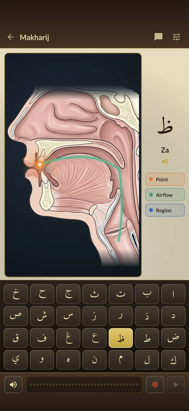 The articulation trainer, showing where the letter za is formed